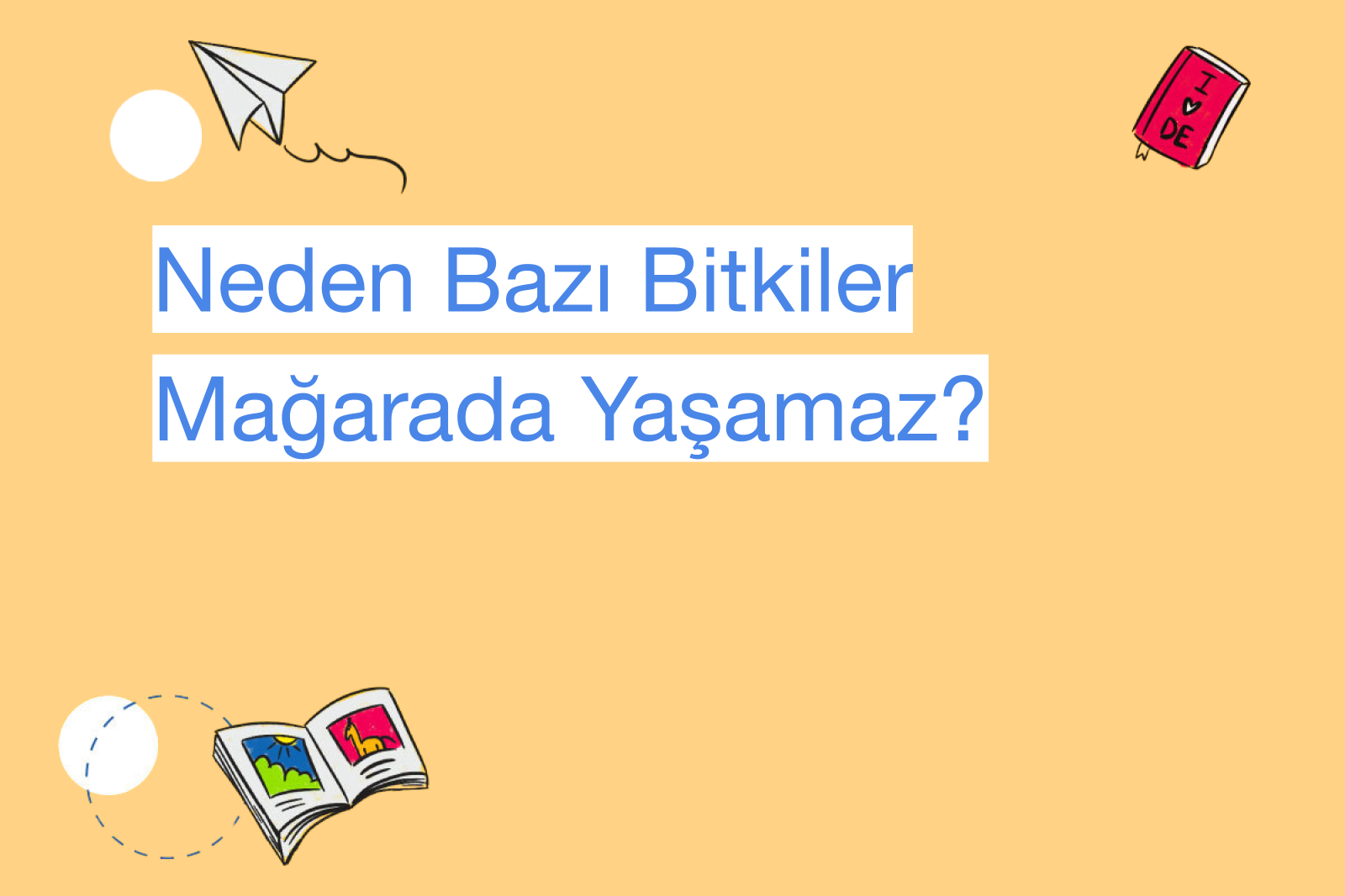 Neden Bazı Bitkiler Mağarada Yaşamaz?