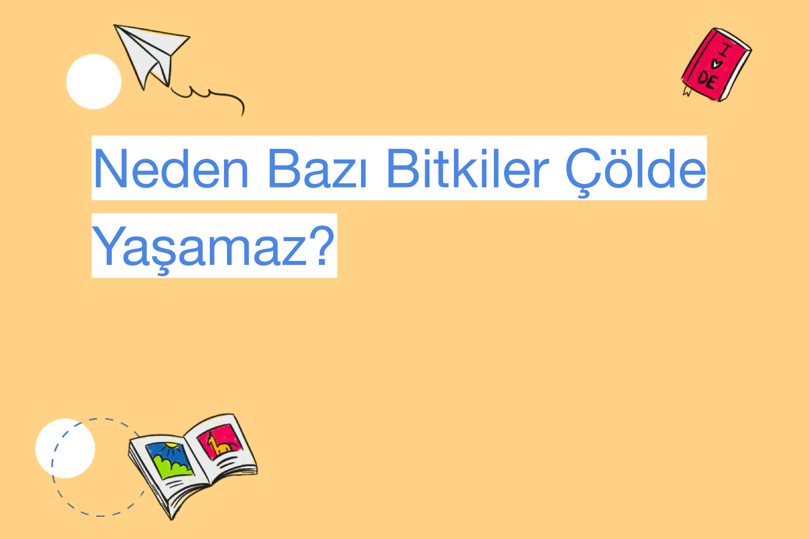 Neden Bazı Bitkiler Çölde Yaşamaz?